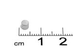 Неодимов магнит D3.5xH3 mm - Image 2